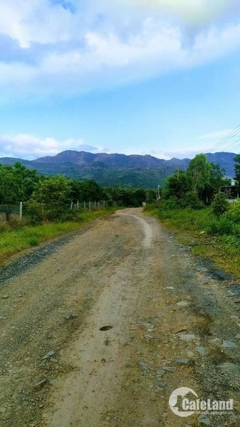 Cần bán 690m2 (10x69) CLN xã Cam Hoà, huyện Cam Lâm.