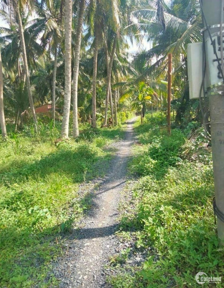 Bán đất đường ba gác ,MỞ RỘNG Ô TÔ TỚI ĐẤT Bình Hòa Long Bình điền chợ gạo