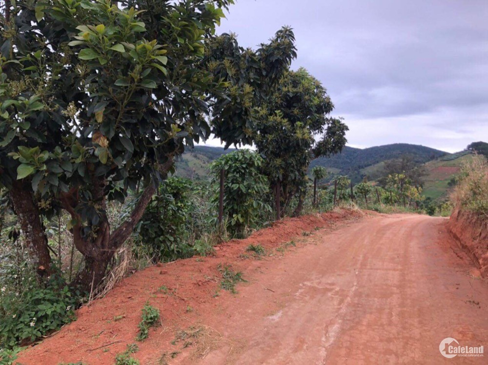 Bán đất cách trung tâm Đà Lạt 16km giá rẻ