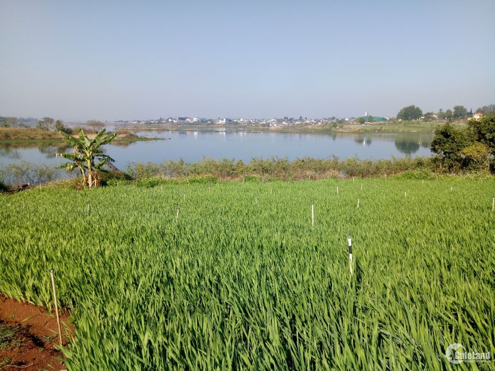 Bán đất lòng hồ Đại Ninh, view hồ đẹp, diện tích 3317m2
