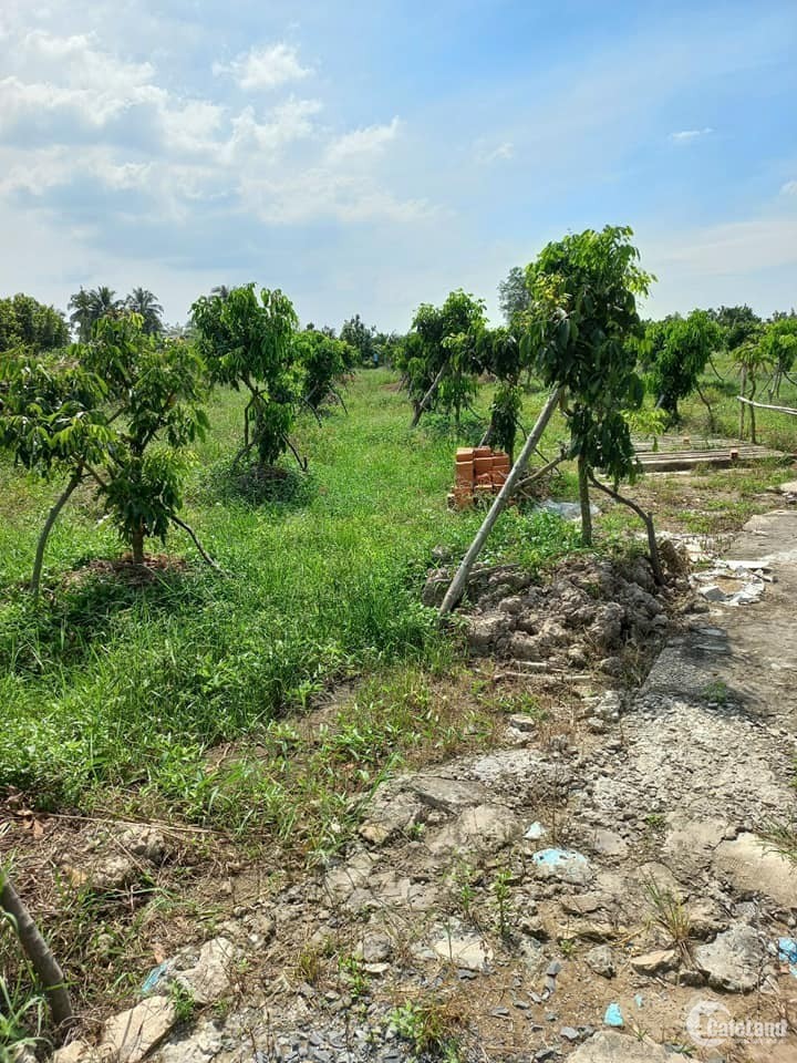 Bán đất xã Tân Hạnh, LH,VL - Cách cầu Bà Chạy 4km,lộ đan 3m đi tới đất