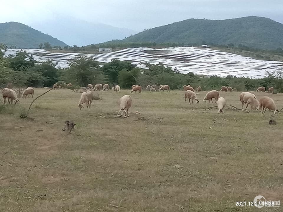 10 ha đất HNK  Gần khu quân sự,  điện mặt trời, đường xe ô tô đi được