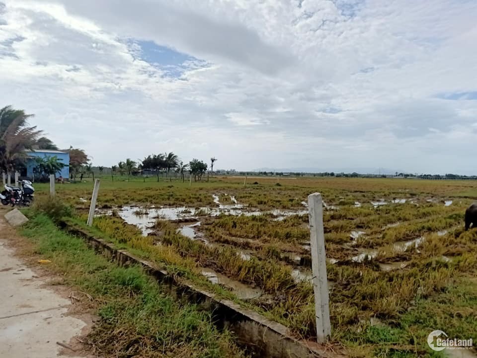 Đất mặt đường bê tông xe tải đi thoải mái. Cách quốc lộ 1A chỉ 1km