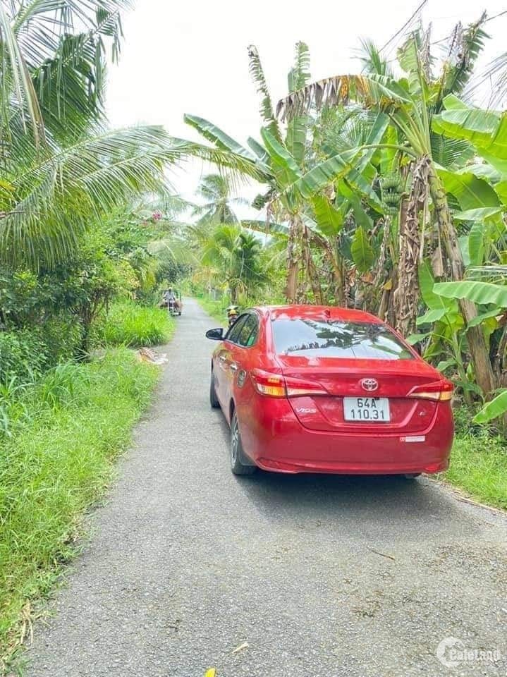 Bán Nền Xã Trung Thành, Vũng Liêm, Vĩnh Long.