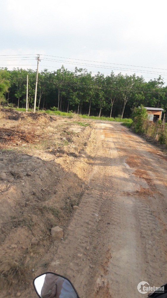 Chủ kẹt tiền cần bán lô đất vườn 1000m2 tại Xã Định An, Dầu Tiếng, Bình Dương