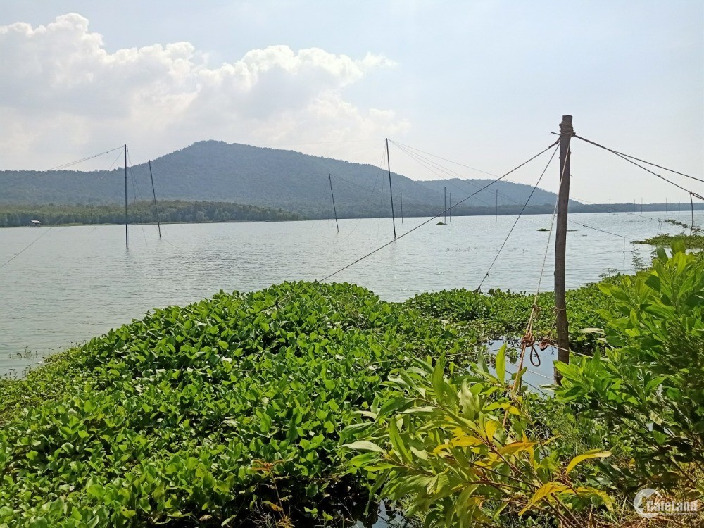 Kẹt tiền bán gấp đất view hồ 1085m2 tại xã Minh Hòa, Dầu Tiếng, Bình Dương