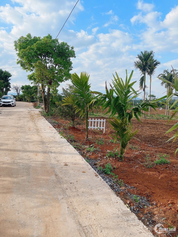 Dự án đất nền nghỉ dưỡng tại xã Phúc Thọ, huyện Lâm  Hà, TP Đà Lạt