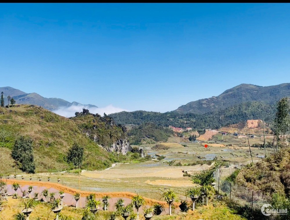 Ngay Lúc Này, Lô đất Giàng Tra, Tả Phìn, 360m2, MT 15m view ruộng bậc thang