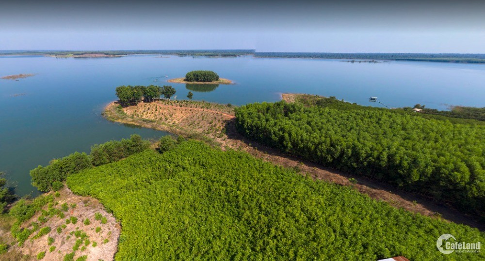 Cần sang lại mãnh đất lớn đối diện KCN Định Quán 3 tỷ/mẫu giá rẻ nhất khu vực