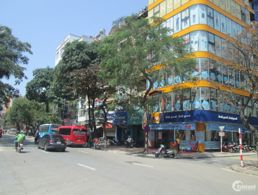 Mặt phố Tân Mai, Kim Đồng sầm uất gần Louis City Hoàng Mai 36m2x4T chỉ 7.28 tỷ.