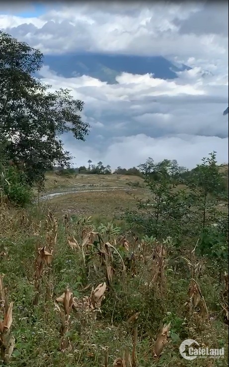 Bán mảnh đất view săn mây siêu đẹp khu vực Y Tý-Sapa 2 giáp suối giá rẻ