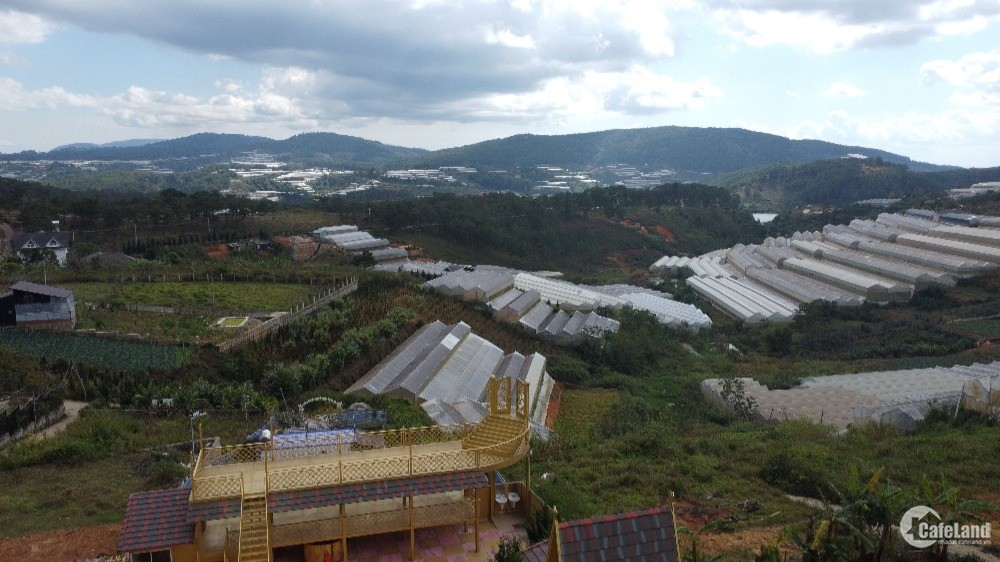 Bán lô đất nghỉ dưỡng Măng Line view núi rừng thung lũng thành phố Đà Lạt