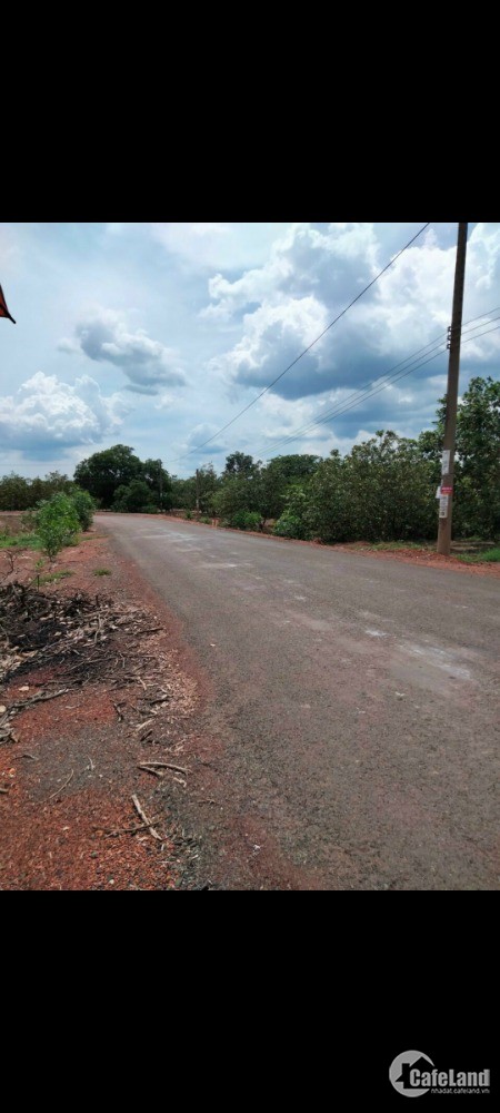 Đất đường liên xã thuộc huyện Đồng Phú tỉnh Bình Phước 430tr 1.000m2 sổ sẵn. Có