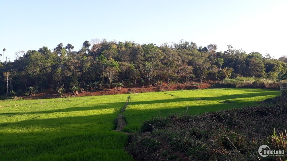 Đất Sào Đẹp View Ruộng Hướng Ra Khu Du Lịch Sinh Thái KOTAM