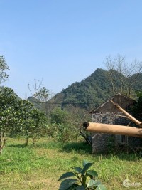  Tổng diện tích 3485m có 2000m thổ cư ở Lương Sơn.