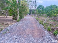 Bán mảnh vườn tại Ngọc Định - Định Quán - Đồng Nai
