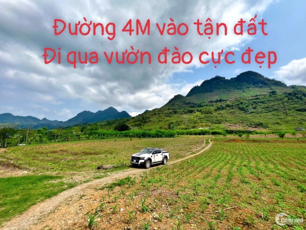 Bán nhanh trong tuần siêu phẩm nghỉ dưỡng giá rẻ tại Cao Sơn - Đà Bắc