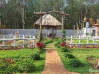 Nhà vườn mới tinh có  DT đất 6500m2 tại Long Phước, tp Bà Rịa, BR-VT