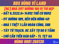 BDS Hùng Vĩ Land Nhà 2MT 6x22m 1T1L đường 12m LXO chỉ 10.5 tỷ