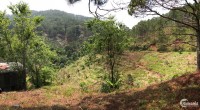 Cần bán 1,4 ha đất vườn thuộc phường 10, TP Đà Lạt, đất có trích lục. 650tr/sào