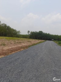 Đất sào ngay khu công nghiệp Becamex Đồng Phú