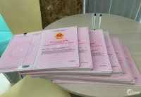 BÁN GẤP  ĐẤT BÌNH CHÁNH GIÁ HẠT DẺ CHỈ VỚI 990 TRIỆU