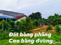 Đất Mặt Tiền, Xã Tân An Hội, Củ Chi, 4000m2, Sổ Hồng Riêng, Giá 3 Tỷ