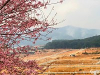 Bán lô đất biệt thự KQH Vạn Xuân (Langbiang Town) Lạc Dương – Lâm Đồng