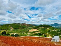 Đất view đồi xã Nam Hà siêu đẹp, thoáng thích hợp nghỉ dưỡng, giá rẻ đầu tư