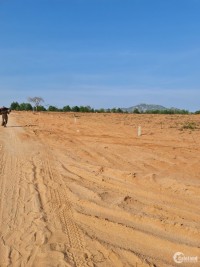 •	Bán lô đất TMDV mặt đường Văn Lâm – Sơn Hải rộng 40m