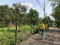 Cần bán mảnh vườn gần cầu Thanh Sơn