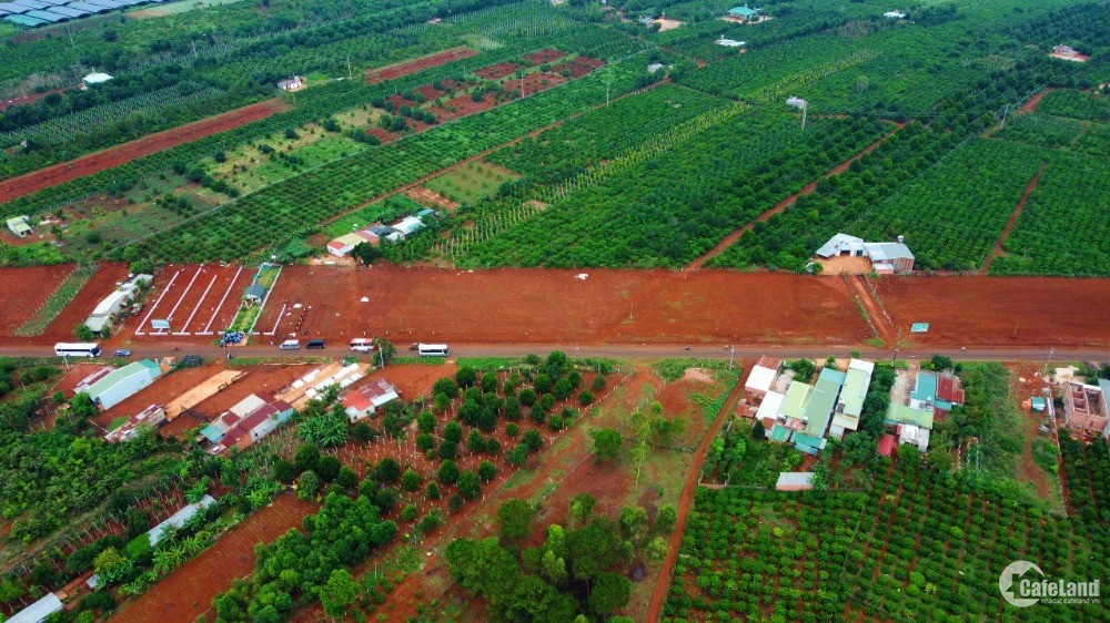 Bán nhanh 5 suất nội bộ đất nền biệt thự Bazan, Mang Yang - Gia Lai