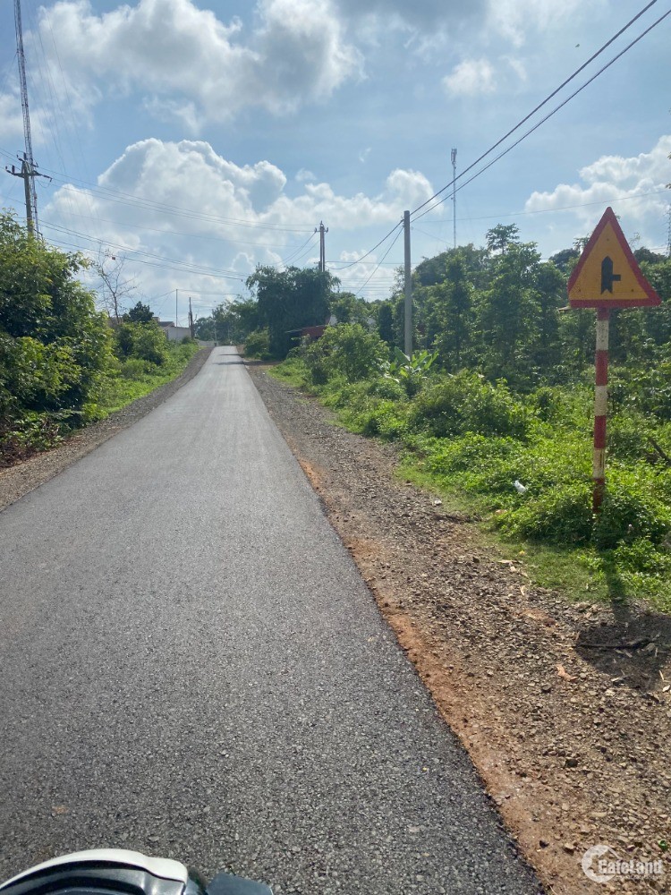 bán hơn 8ha đất đỏ bằng phẳng mặt tiền đường nhựa đang trồng sầu riêng và cà phe