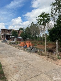 Bán 2 Lô Đất Mặt Tiền Vị Trí Đẹp Tại Thị trấn Ea T'ling,  Cư Jút, Đắk Nông- Giá