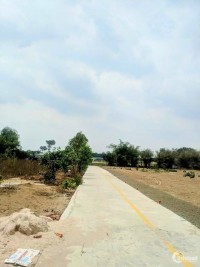 Chủ cần tiền cần bán nhanh 1000m2 đất tại xã Phước Long Thọ gần sân bay Lộc An