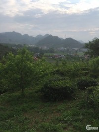 Bán đất nền Mộc Châu mảnh đất 13.000 m2 Phiêng Luông. Bàn giao sổ đỏ. Có 500m2TC