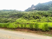 Mảnh đất đẹp nhất Hà Giang gom ngay và luôn chứ đừng hỏi giá (chưa tới 500k/m2)