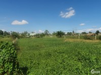 Bán gấp lô đất 500m² vườn ngay thị trấn Cần Giuộc