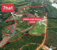 Chỉ 370 triệu sở hữu 1000m2  đất nền Đắk Glong, Đắk Nông