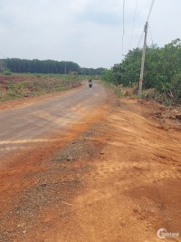 Bán đất sào Becamex Đồng Phú gần tuyến cao tốc