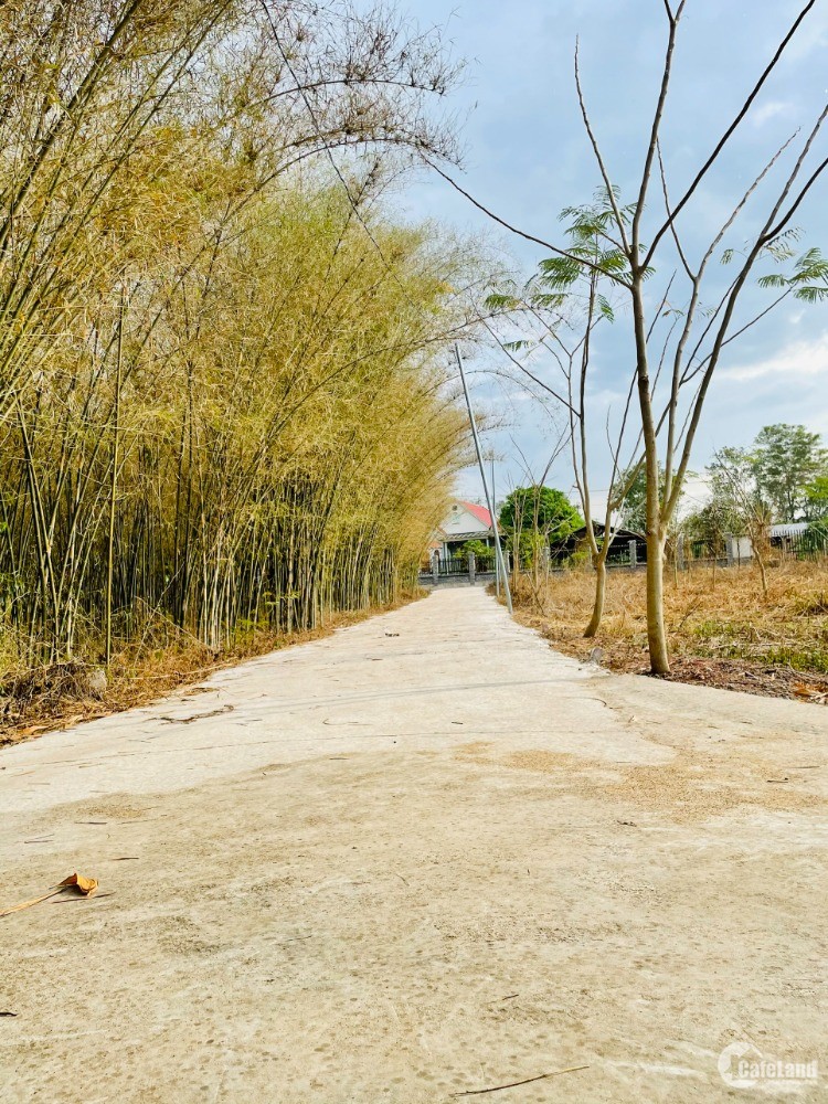 Chính Chủ Bán 100m2 Đất , Gần KDL Thác Đá Hàn, Xã Sông Trầu, Trảng Bom, Đồng Nai