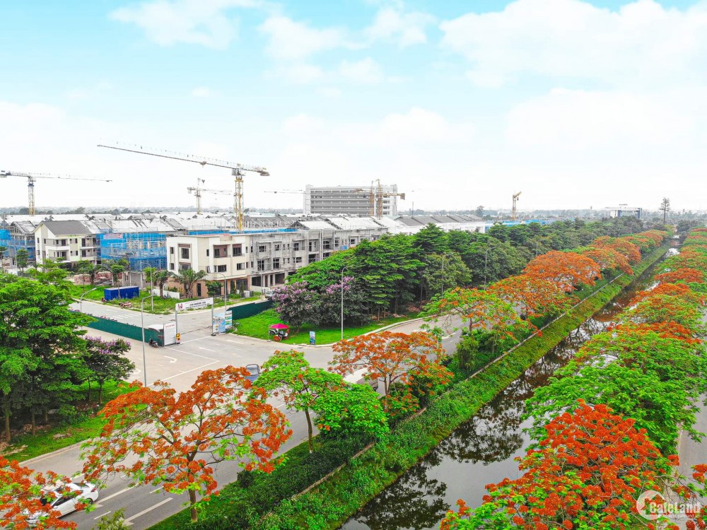 CĐT VSIP Bắc Ninh chính thức ra mắt dự án Centa Riverside Từ Sơn giá chỉ từ
