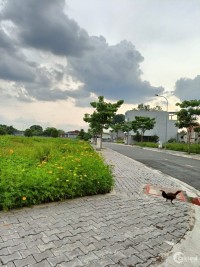 Đất xây dựng tự do, sổ hồng sẵn, tại phường Long Bình Tân