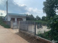 43x82m có nhà (100m thổ) vườn cây ăn trái thuộc thôn 5 Nghĩa Hòa, Chư Păh, Gia L