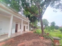 BÁN NHANH LÔ ĐẤT TẠI CHƯƠNG MỸ HÀ NỘI  GIÁ HƠN 3 tr/m