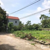 Bán Đất giá rẻ 334m2 tại Trác Văn - Duy Tiên - Hà Nam