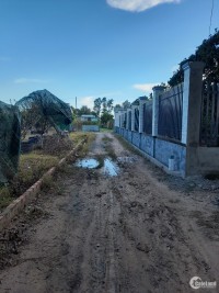 Cần bán lô đất Phú Thạnh Nhơn Trạch 48x31m, đường 3m oto đi, shr