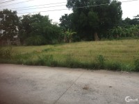 Cần bán đất vườn diện tích lớn giáp Rạch Ông Tiếp, sông Đồng Nai