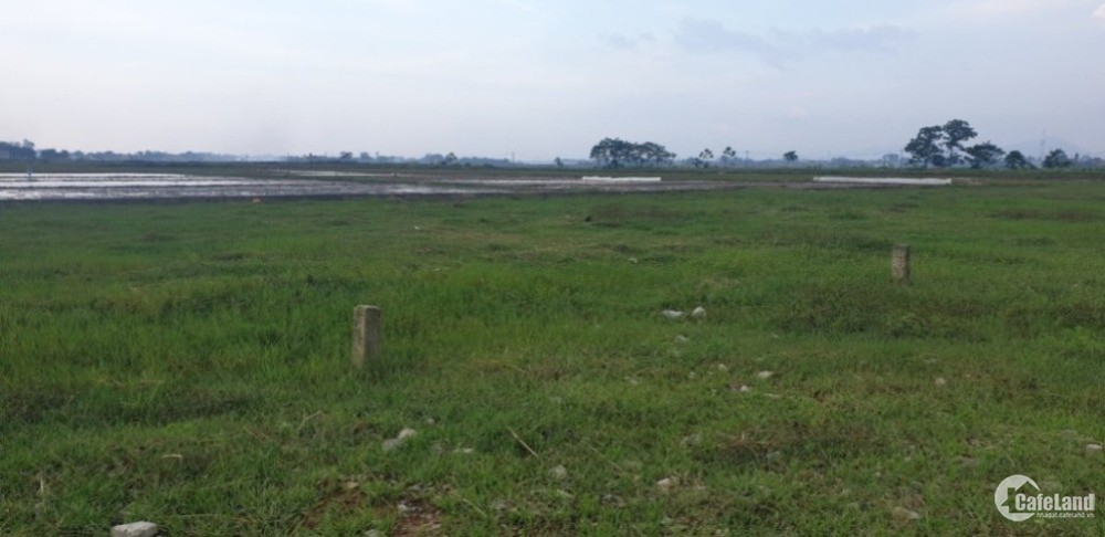 Em bán lô đất 175m2 gần chợ Dừa- KP Văn Hóa.