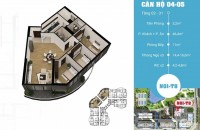 Chính chủ bán căn hộ tòa N01-T8 Ngoại giao đoàn - diện tích 133m2 .